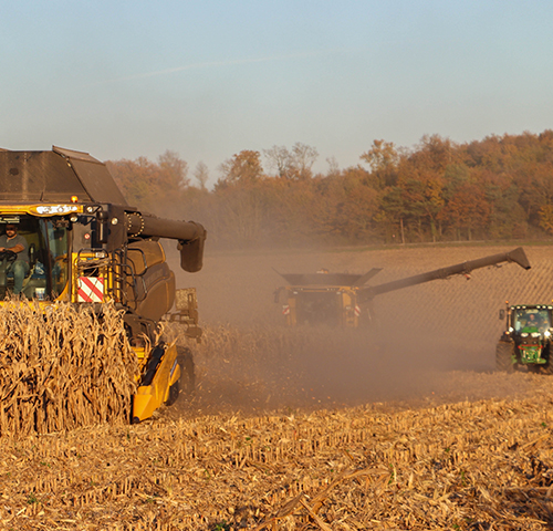 Spécialiste des récoltes en Charente Spécialiste des récoltes en Charente