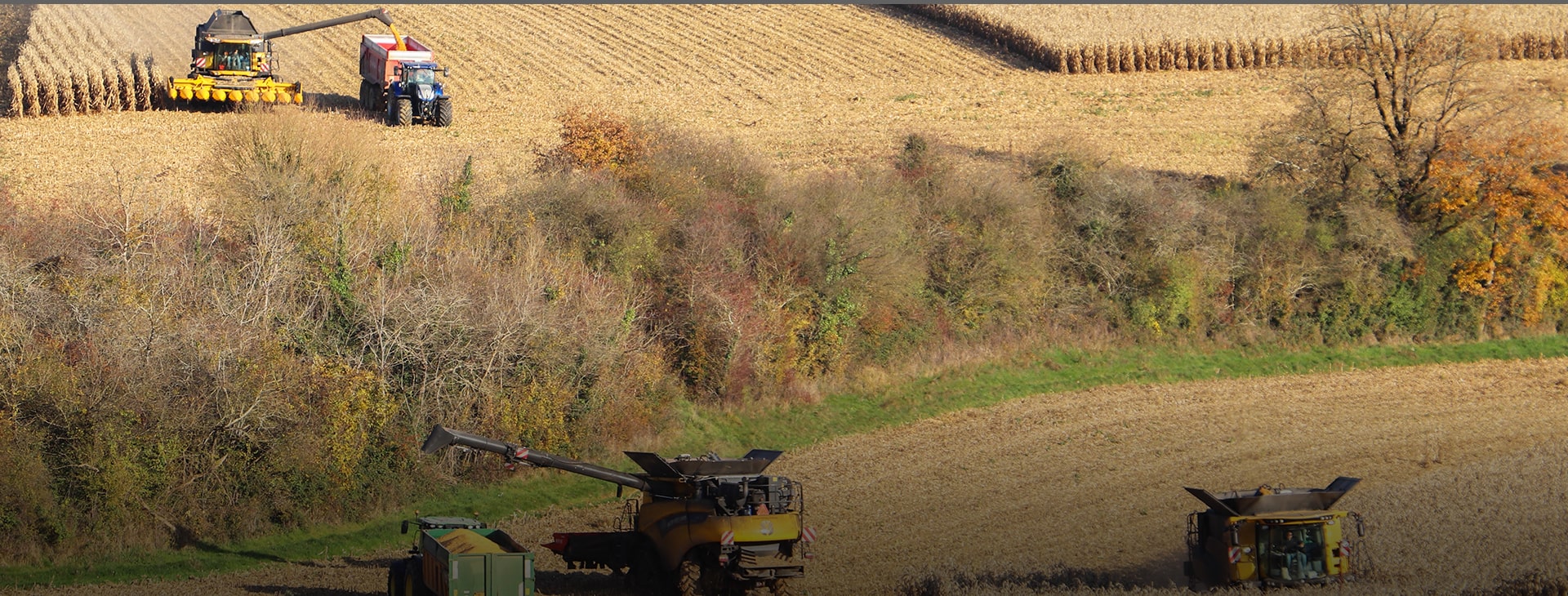 Fermiers propriétaires en Charente